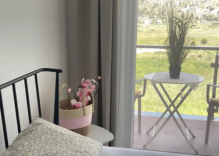 View Of Flamingos