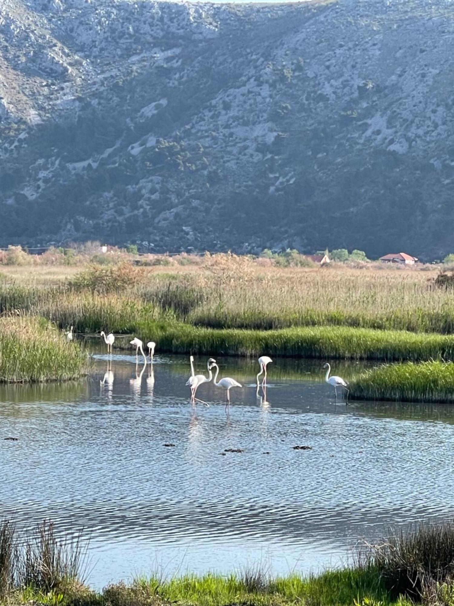View Of Flamingos Apartament Shëngjin