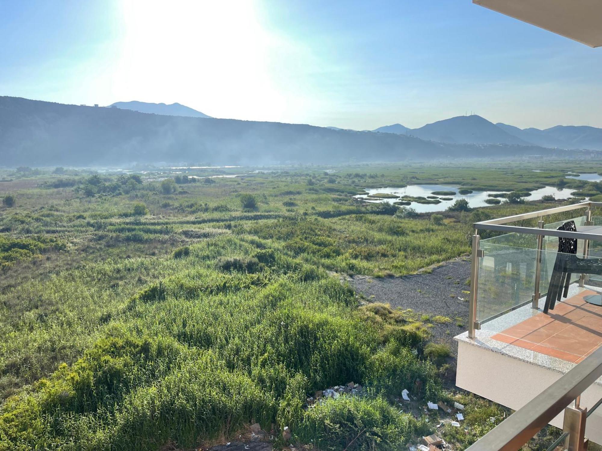View Of Flamingos *